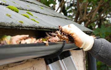 gutter cleaning Colston