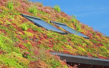 Colston living roof systems