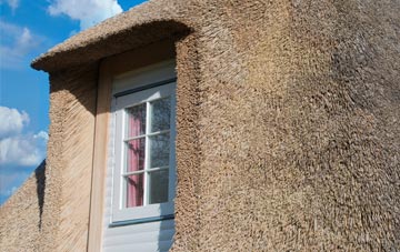 Colston thatch roof disadvantages