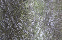 Colston fibreglass roof work